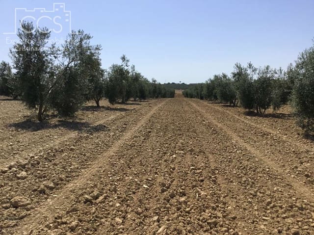 Byggegrund til salg i Almonte - € 78.000 (Ref: 8457615)