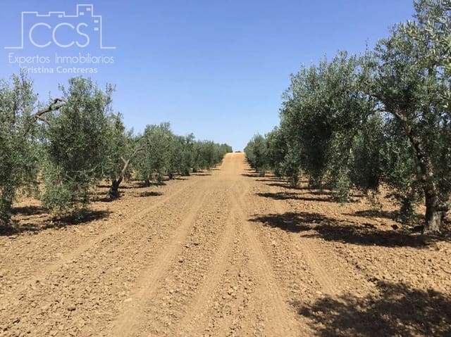 Byggegrund til salg i Almonte - € 78.000 (Ref: 8457615)