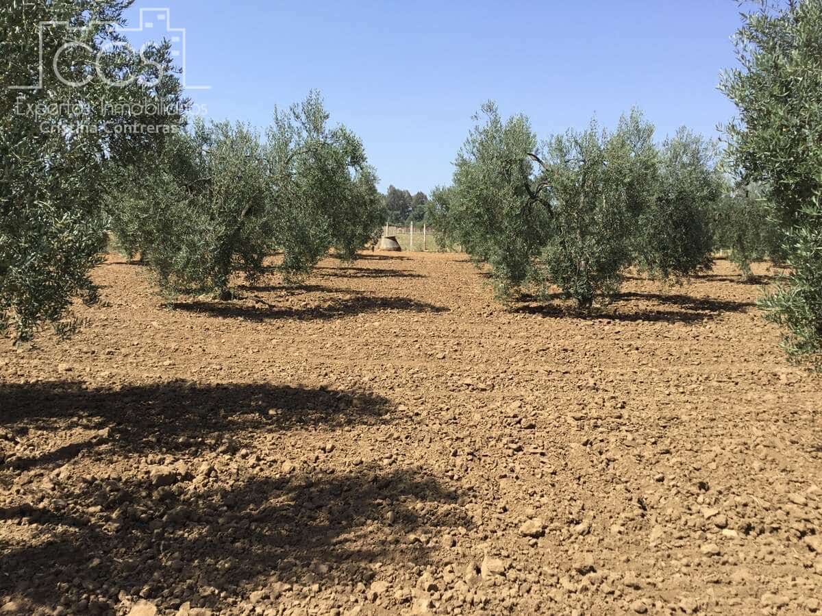 Byggegrund til salg i Almonte - € 78.000 (Ref: 8457615)