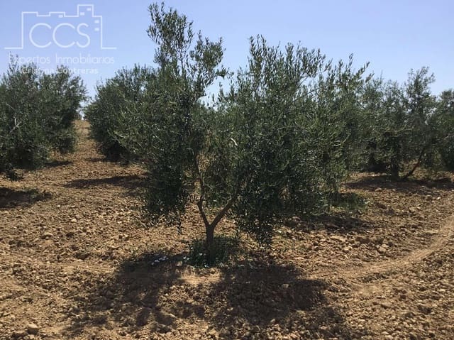 Byggegrund til salg i Almonte - € 78.000 (Ref: 8457615)