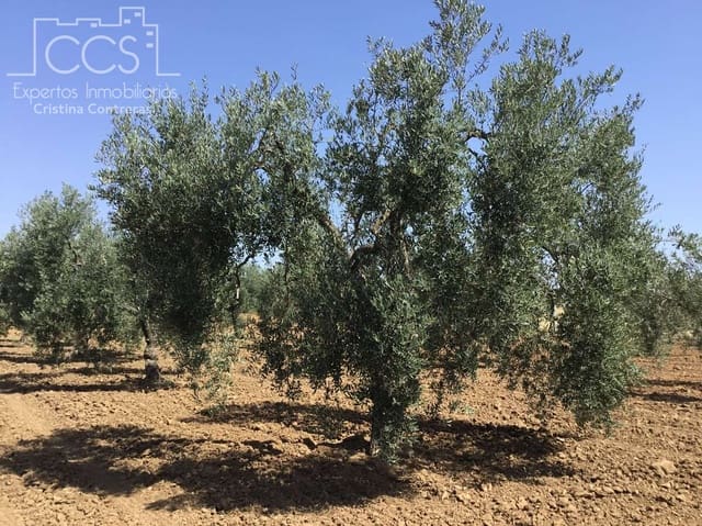 Byggegrund til salg i Almonte - € 78.000 (Ref: 8457615)