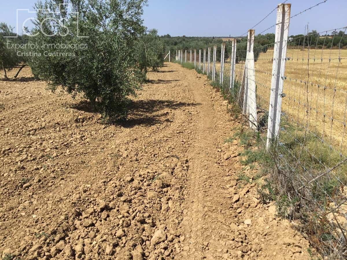 Byggegrund til salg i Almonte - € 78.000 (Ref: 8457615)