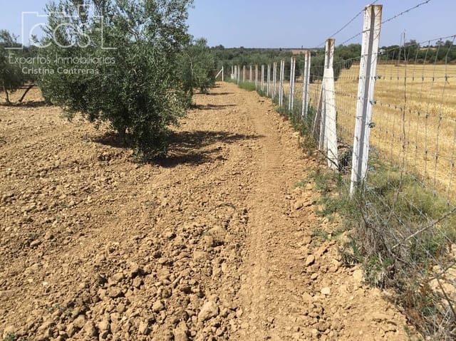 Byggegrund til salg i Almonte - € 78.000 (Ref: 8457615)