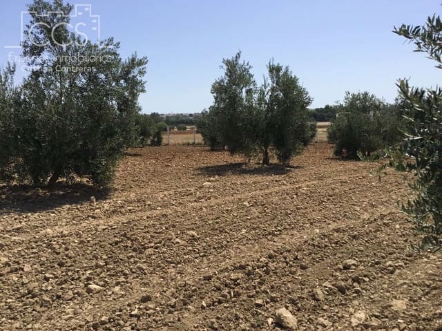 Area Edificabile in vendita in Almonte - 78.000 € (Rif: 8457615)