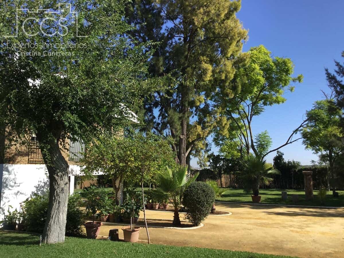 5 bedroom Finca/Country House for sale in Alcala de Guadaira with pool garage - € 450,000 (Ref: 8485078)