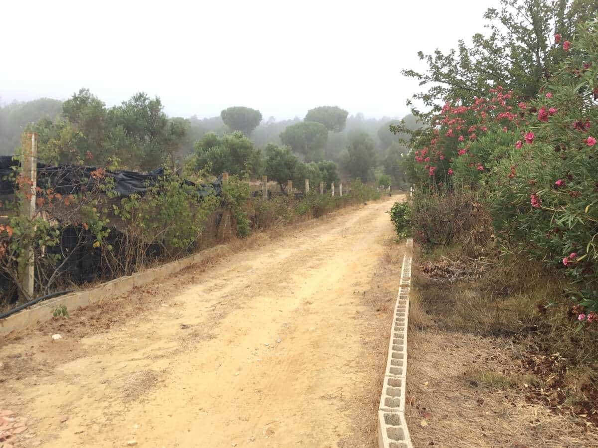 4 soverom Finca/Herregård til salgs i Almonte med svømmebasseng - € 240 000 (Ref: 8551937)