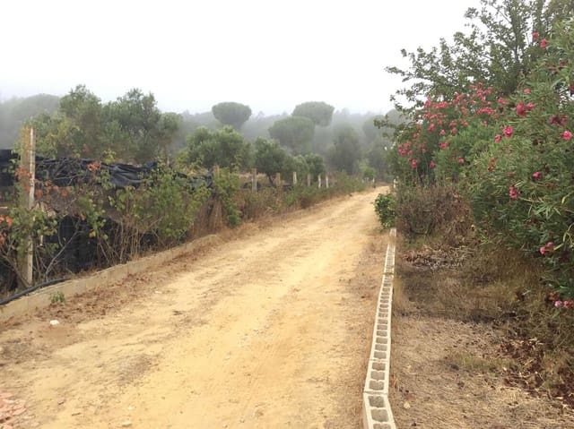 4 slaapkamer Finca/Landhuis te koop in Almonte met zwembad - € 240.000 (Ref: 8551937)