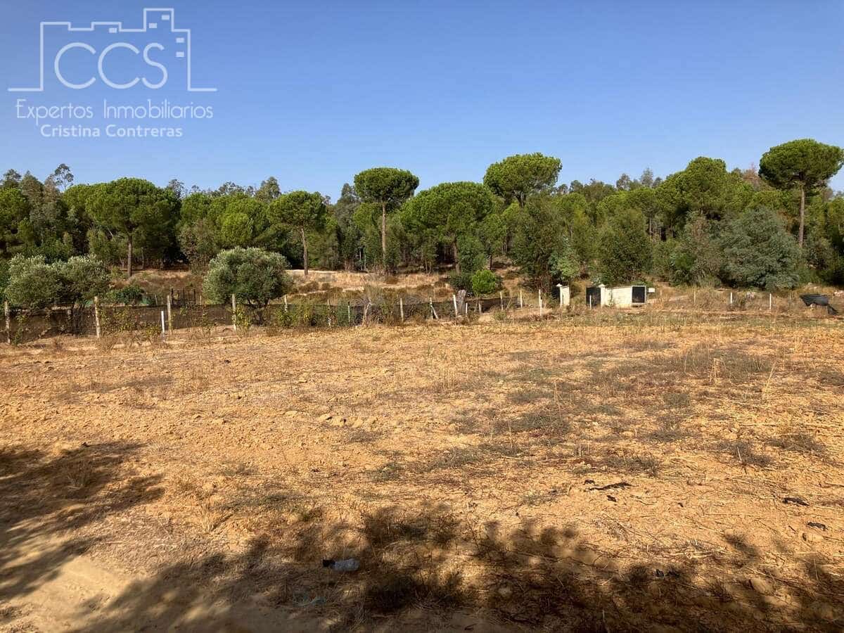 4 soverom Finca/Herregård til salgs i Almonte med svømmebasseng - € 240 000 (Ref: 8551937)