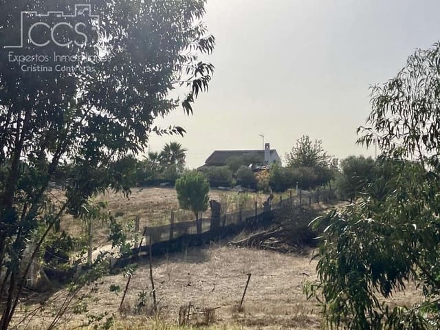 4 slaapkamer Finca/Landhuis te koop in Almonte met zwembad - € 240.000 (Ref: 8551937)