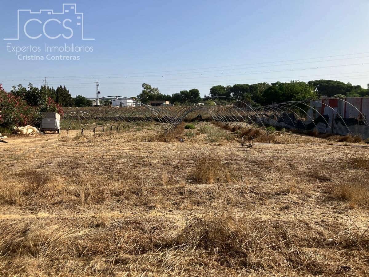 4 soverom Finca/Herregård til salgs i Almonte med svømmebasseng - € 240 000 (Ref: 8551937)