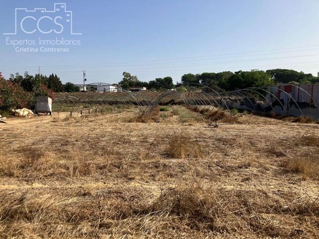 4 slaapkamer Finca/Landhuis te koop in Almonte met zwembad - € 240.000 (Ref: 8551937)