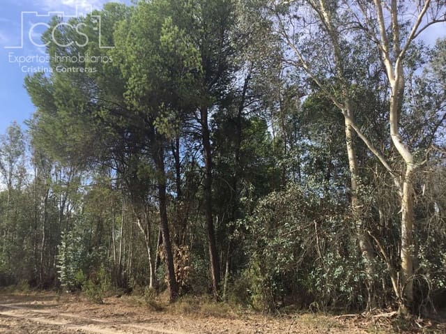 Building Plot for sale in Almonte - € 69,000 (Ref: 8579215)