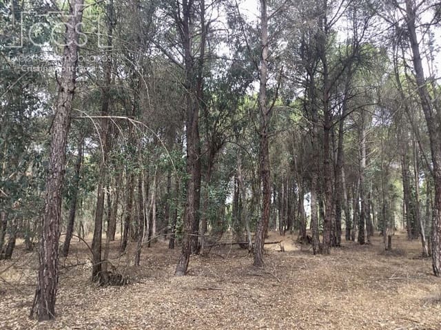 Building Plot for sale in Almonte - € 69,000 (Ref: 8579215)