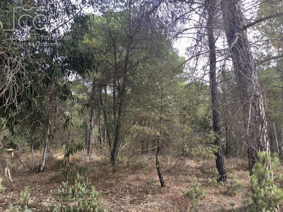 Byggetomt til salgs i Almonte - € 69 000 (Ref: 8579215)