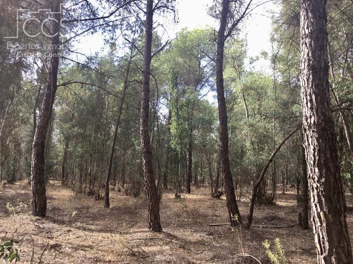 Byggetomt til salgs i Almonte - € 69 000 (Ref: 8579215)