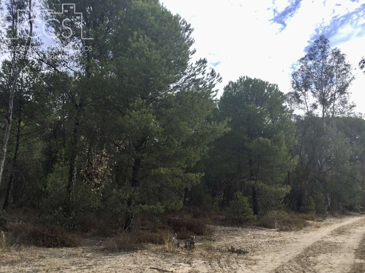 Area Edificabile in vendita in Almonte - 69.000 € (Rif: 8579215)