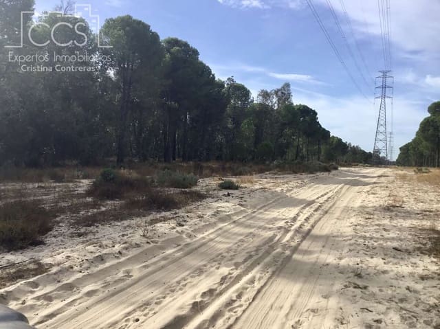 Area Edificabile in vendita in Almonte - 69.000 € (Rif: 8579215)