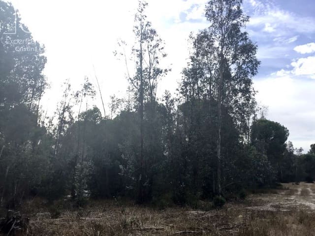 Area Edificabile in vendita in Almonte - 69.000 € (Rif: 8579215)