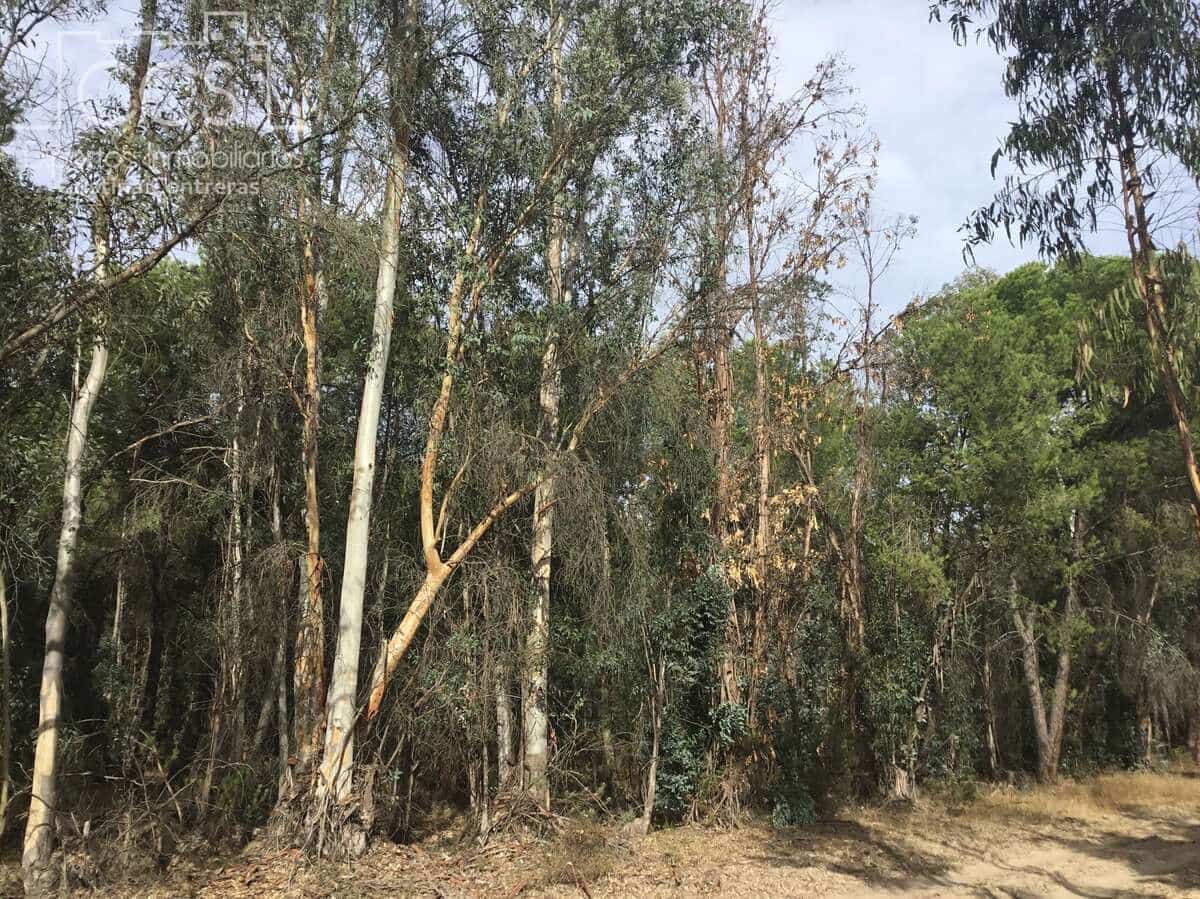 Area Edificabile in vendita in Almonte - 69.000 € (Rif: 8579215)