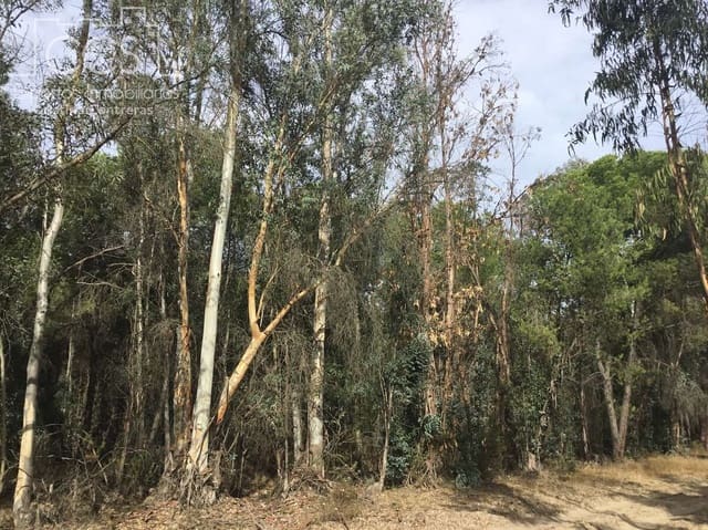 Area Edificabile in vendita in Almonte - 69.000 € (Rif: 8579215)