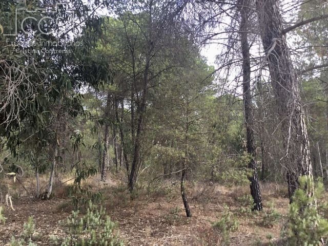 Area Edificabile in vendita in Almonte - 69.000 € (Rif: 8579215)