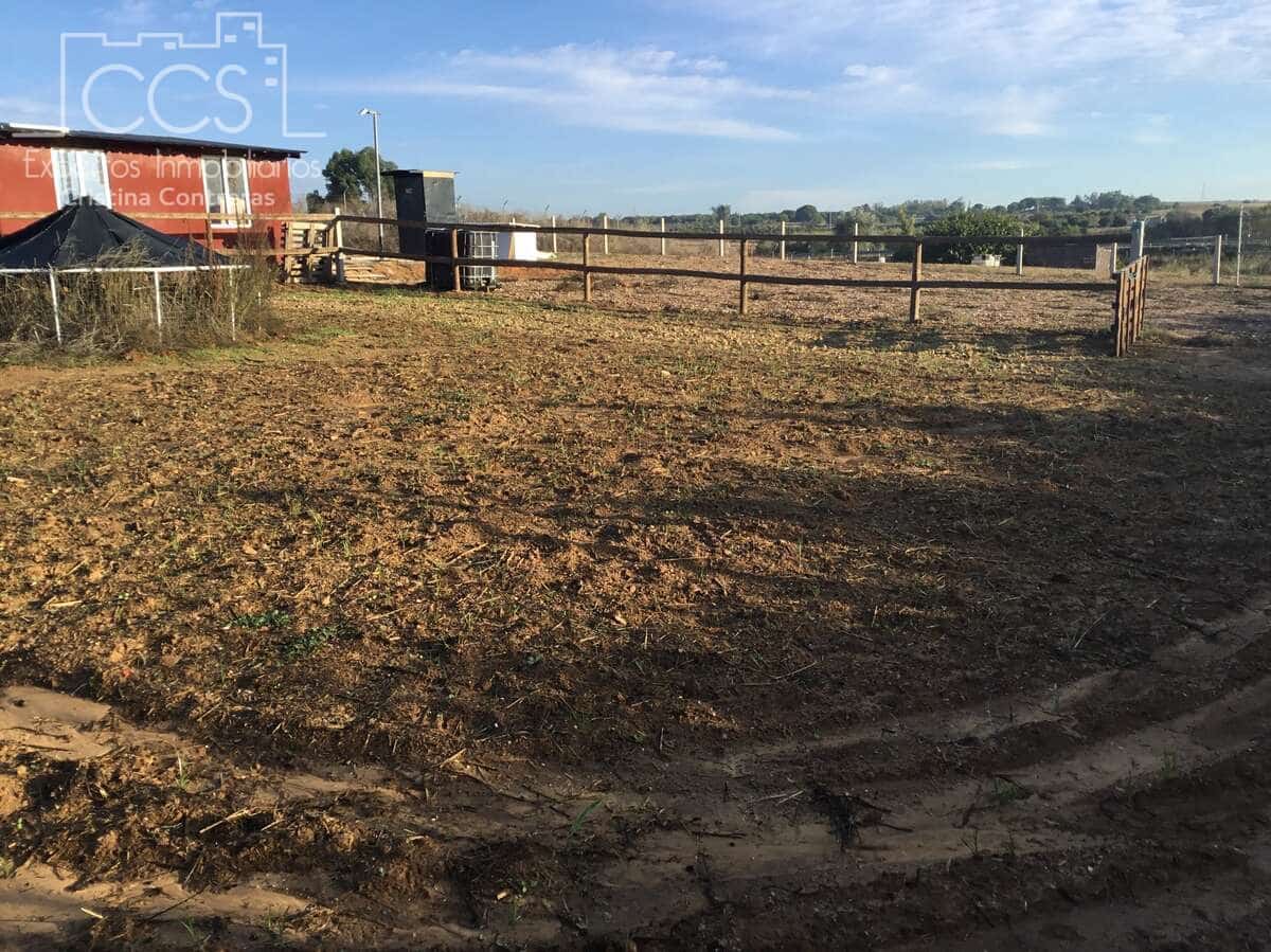 3 soveværelse Finca/Landehus til salg i Rociana del Condado med swimmingpool garage - € 115.000 (Ref: 8607970)