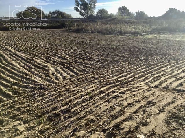 3 camera da letto Finca/Casa di Campagna in vendita in Rociana del Condado con piscina garage - 115.000 € (Rif: 8607970)