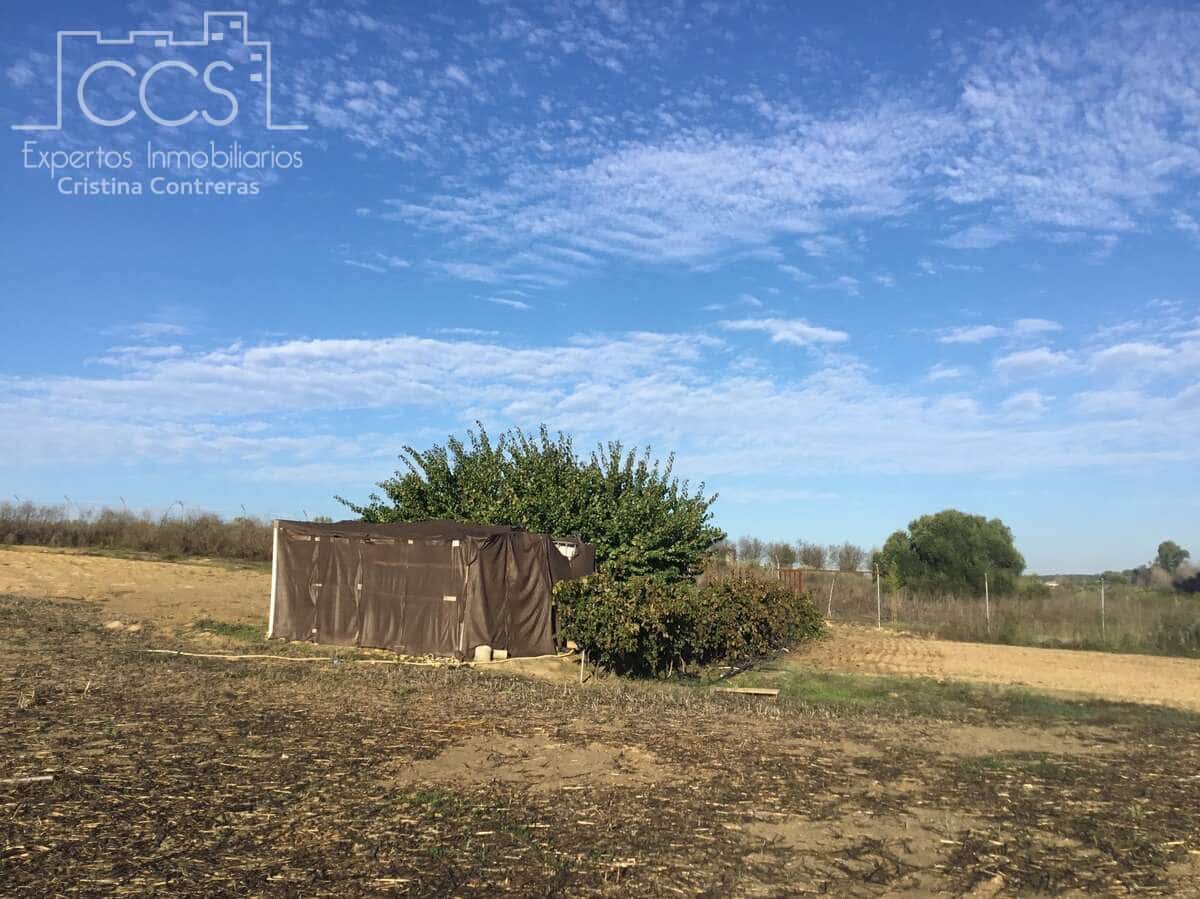 3 soveværelse Finca/Landehus til salg i Rociana del Condado med swimmingpool garage - € 115.000 (Ref: 8607970)