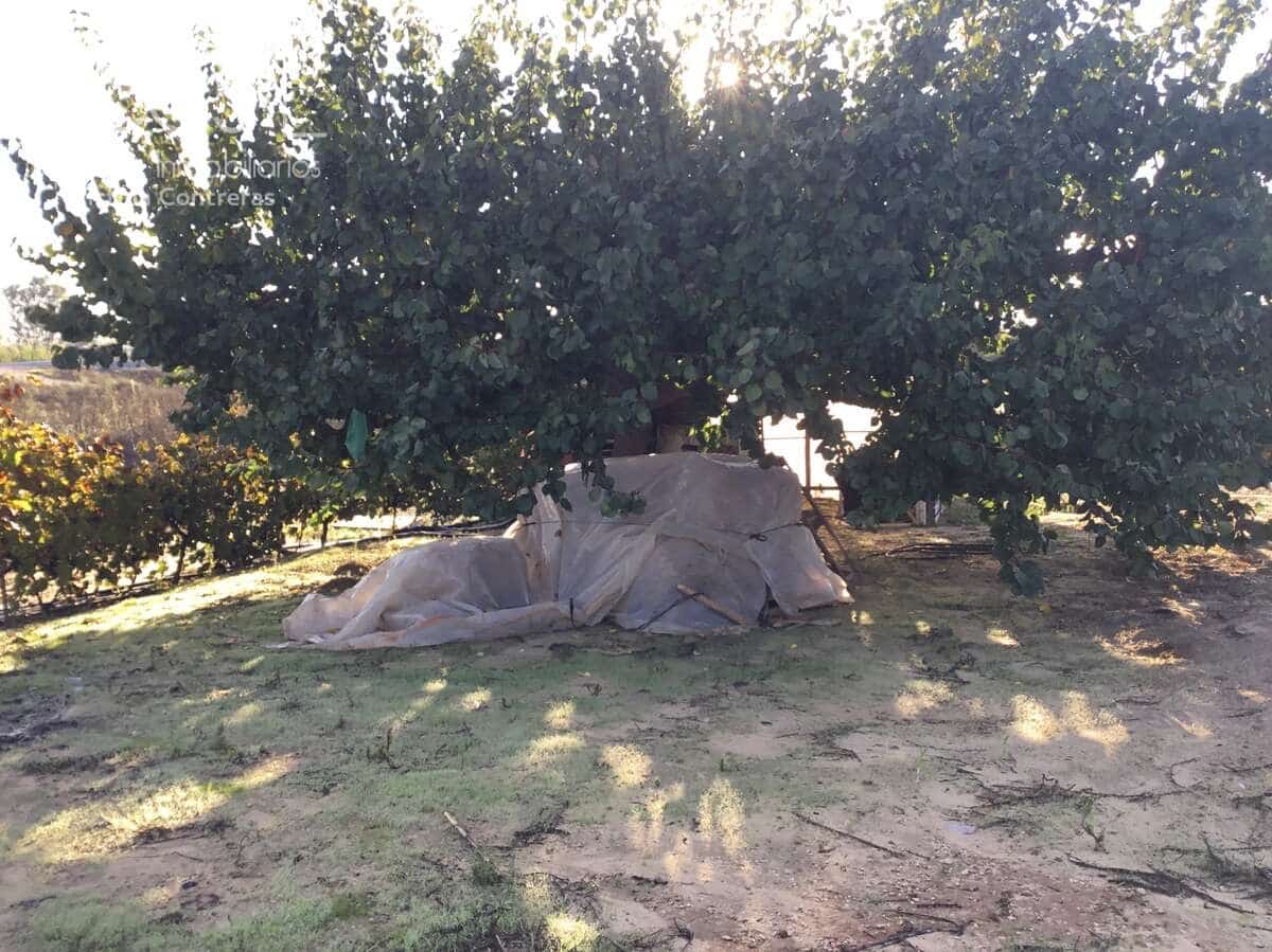 3 soveværelse Finca/Landehus til salg i Rociana del Condado med swimmingpool garage - € 115.000 (Ref: 8607970)