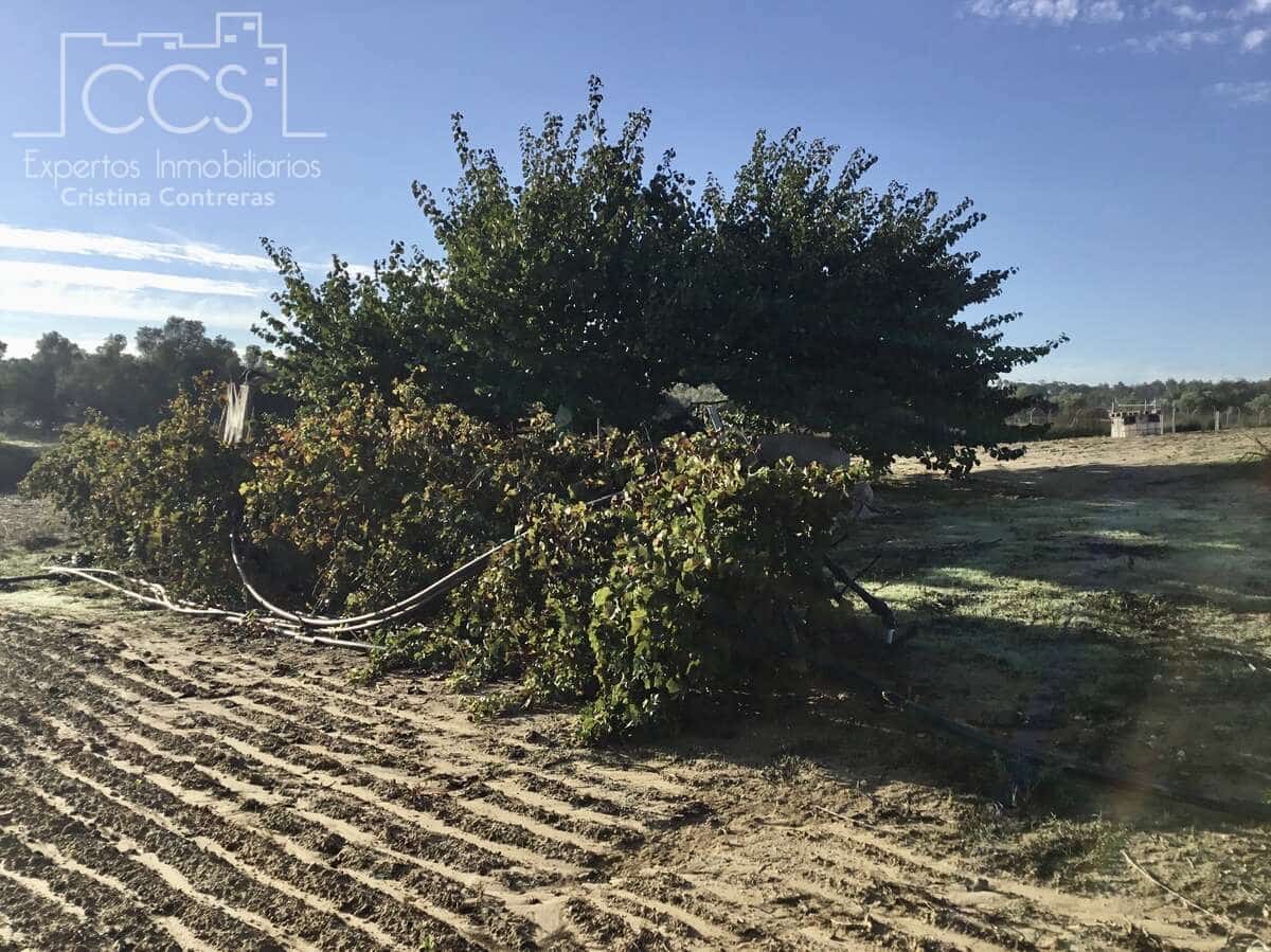 3 soveværelse Finca/Landehus til salg i Rociana del Condado med swimmingpool garage - € 115.000 (Ref: 8607970)