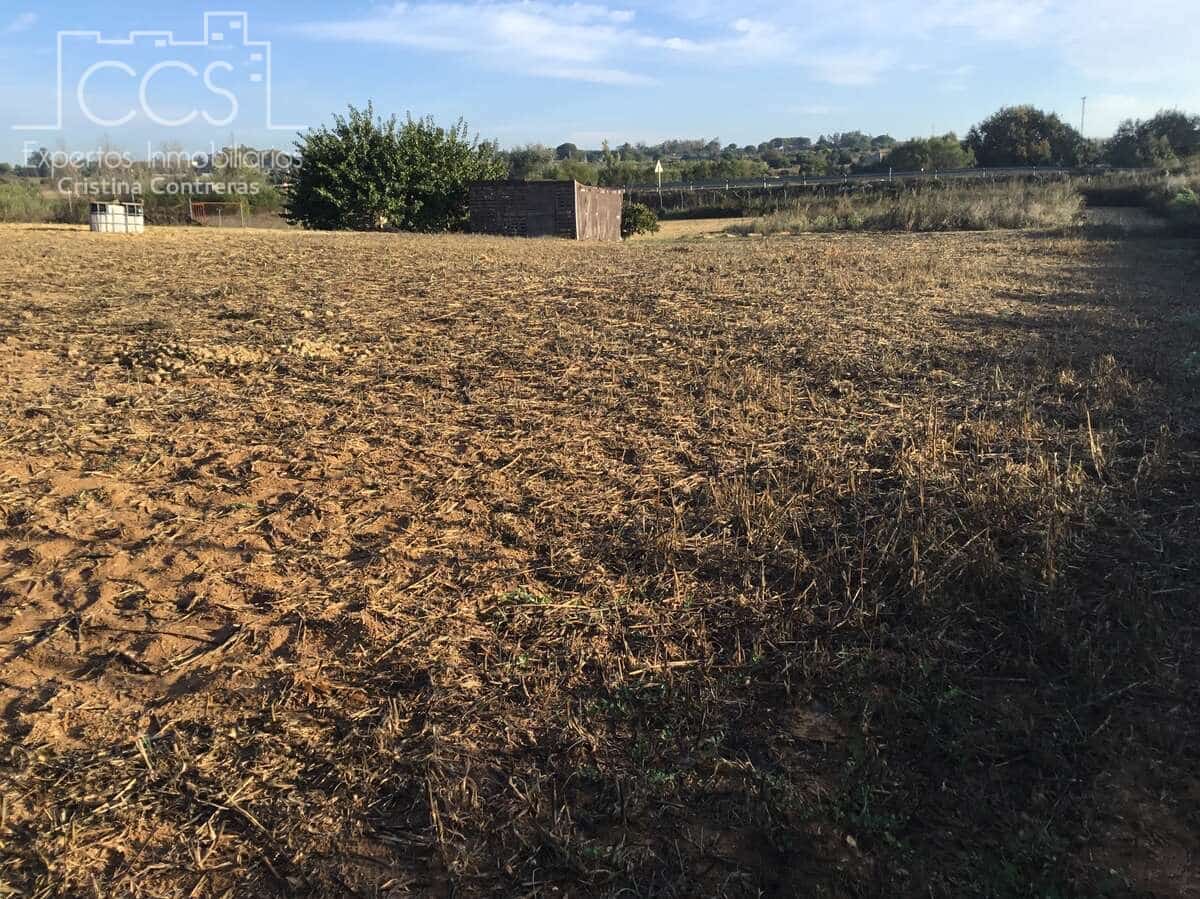 3 soveværelse Finca/Landehus til salg i Rociana del Condado med swimmingpool garage - € 115.000 (Ref: 8607970)