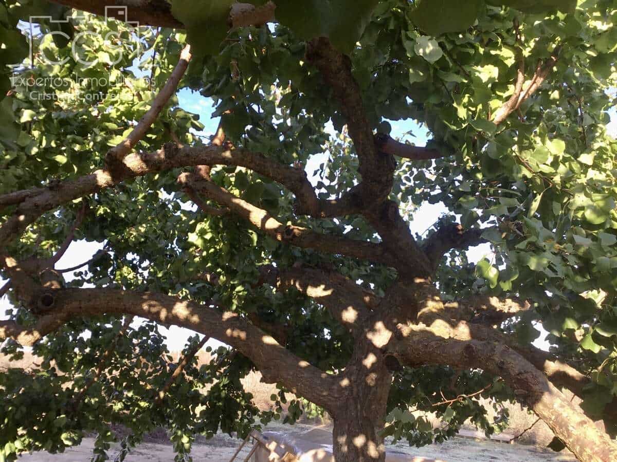 3 soveværelse Finca/Landehus til salg i Rociana del Condado med swimmingpool garage - € 115.000 (Ref: 8607970)