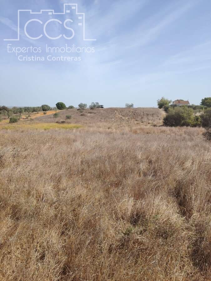 Byggegrund til salg i Almonte - € 7.500 (Ref: 8624450)