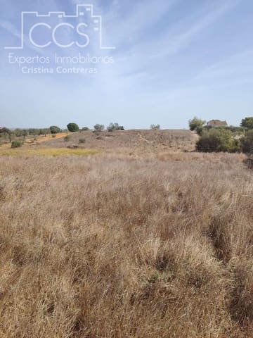 Building Plot for sale in Almonte - € 7,500 (Ref: 8624450)