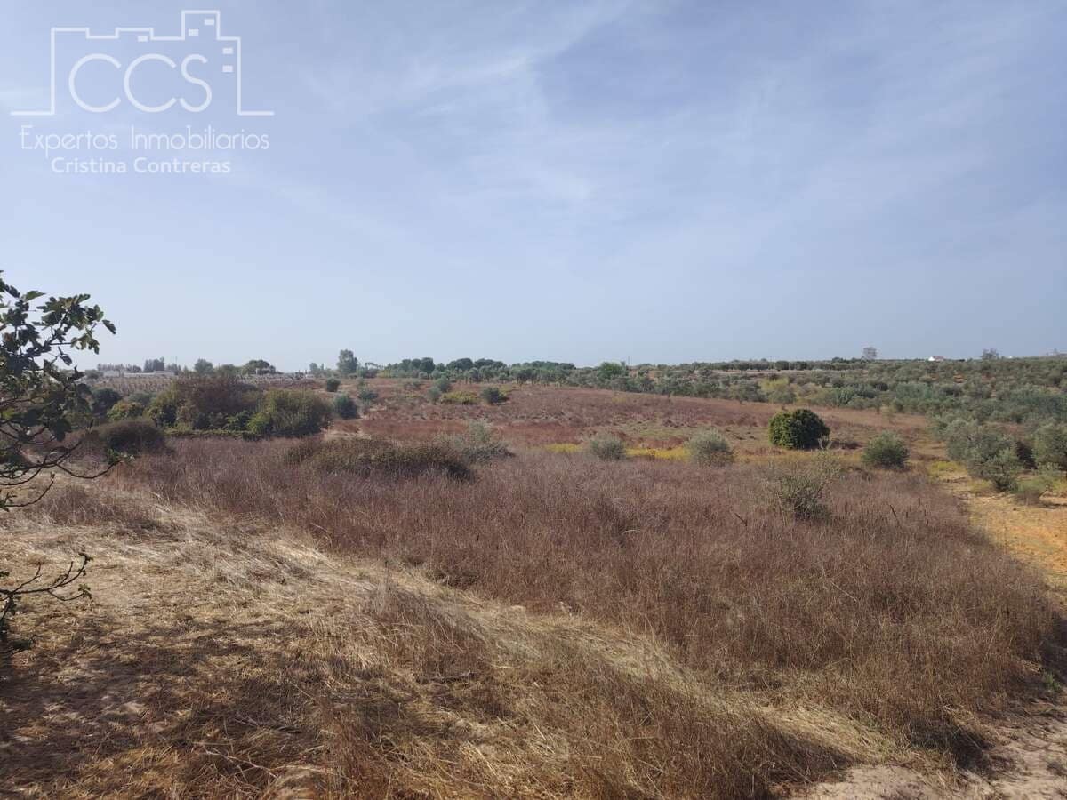 Byggegrund til salg i Almonte - € 7.500 (Ref: 8624450)