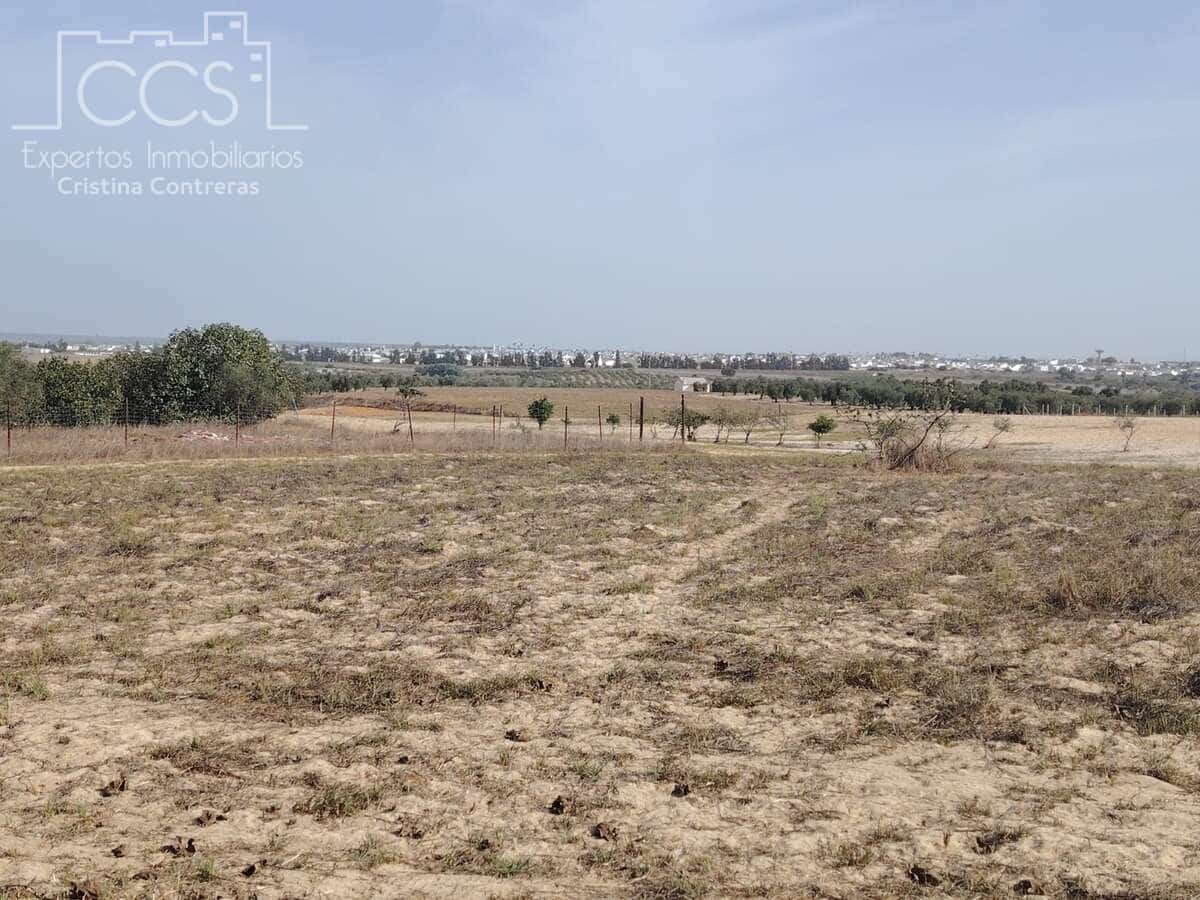 Byggegrund til salg i Almonte - € 7.500 (Ref: 8624450)