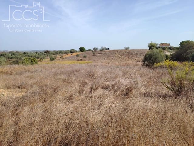 Building Plot for sale in Almonte - € 7,500 (Ref: 8624450)