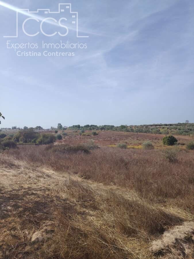 Byggegrund til salg i Almonte - € 7.500 (Ref: 8624450)