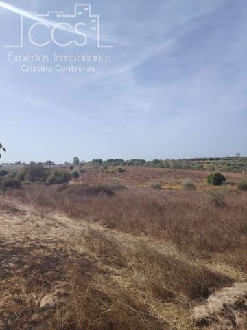 Building Plot for sale in Almonte - € 7,500 (Ref: 8624450)