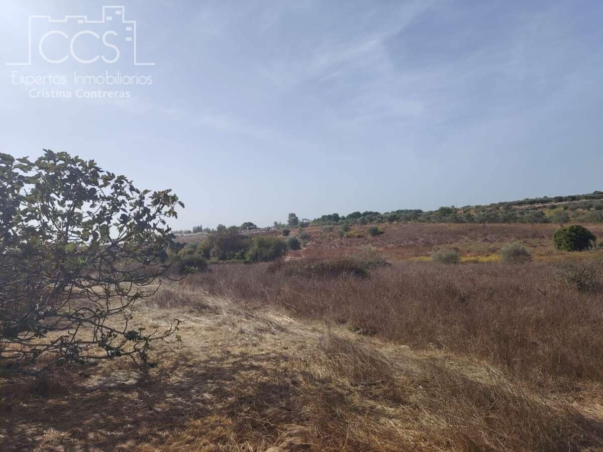 Byggegrund til salg i Almonte - € 7.500 (Ref: 8624450)