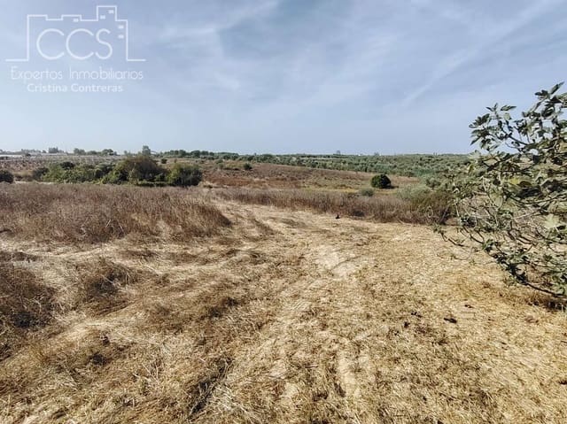 Building Plot for sale in Almonte - € 7,500 (Ref: 8624450)