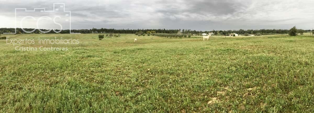 2 slaapkamer Finca/Landhuis te koop in Almonte - € 75.000 (Ref: 8661891)