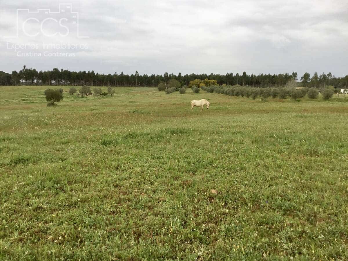 2 slaapkamer Finca/Landhuis te koop in Almonte - € 75.000 (Ref: 8661891)