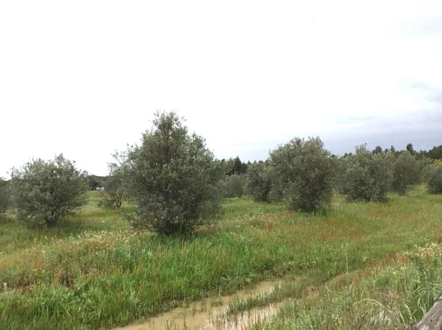 2 bedroom Finca/Country House for sale in Almonte - € 75,000 (Ref: 8661891)