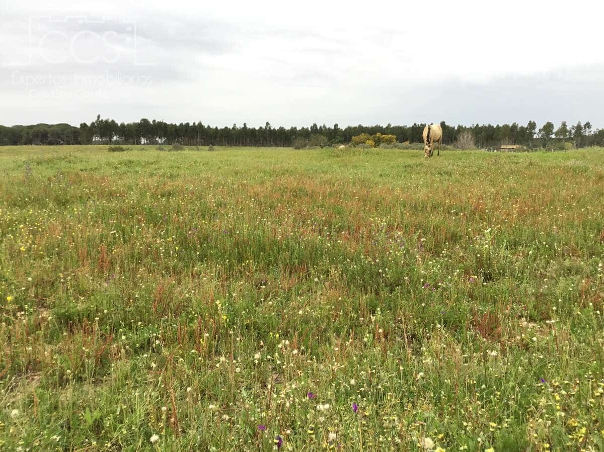 2 slaapkamer Finca/Landhuis te koop in Almonte - € 75.000 (Ref: 8661891)