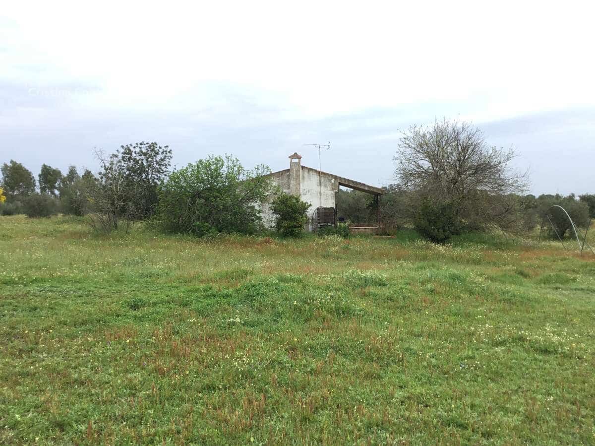 2 slaapkamer Finca/Landhuis te koop in Almonte - € 75.000 (Ref: 8661891)