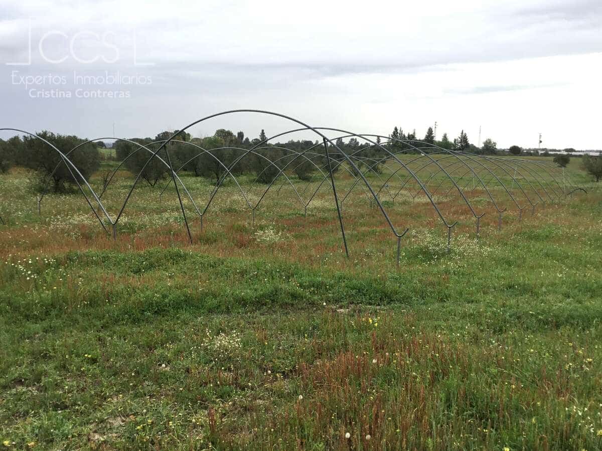 2 slaapkamer Finca/Landhuis te koop in Almonte - € 75.000 (Ref: 8661891)