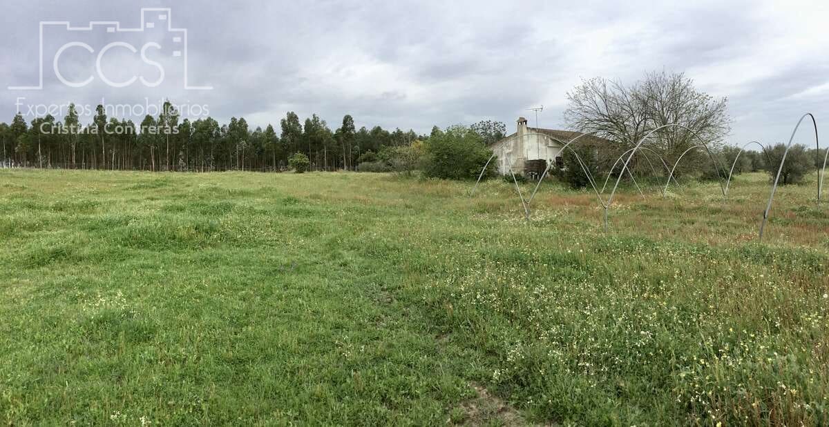 2 slaapkamer Finca/Landhuis te koop in Almonte - € 75.000 (Ref: 8661891)