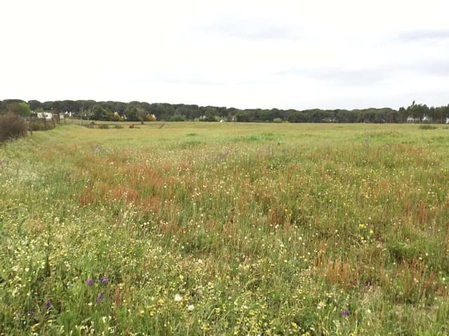 2 bedroom Finca/Country House for sale in Almonte - € 75,000 (Ref: 8661891)