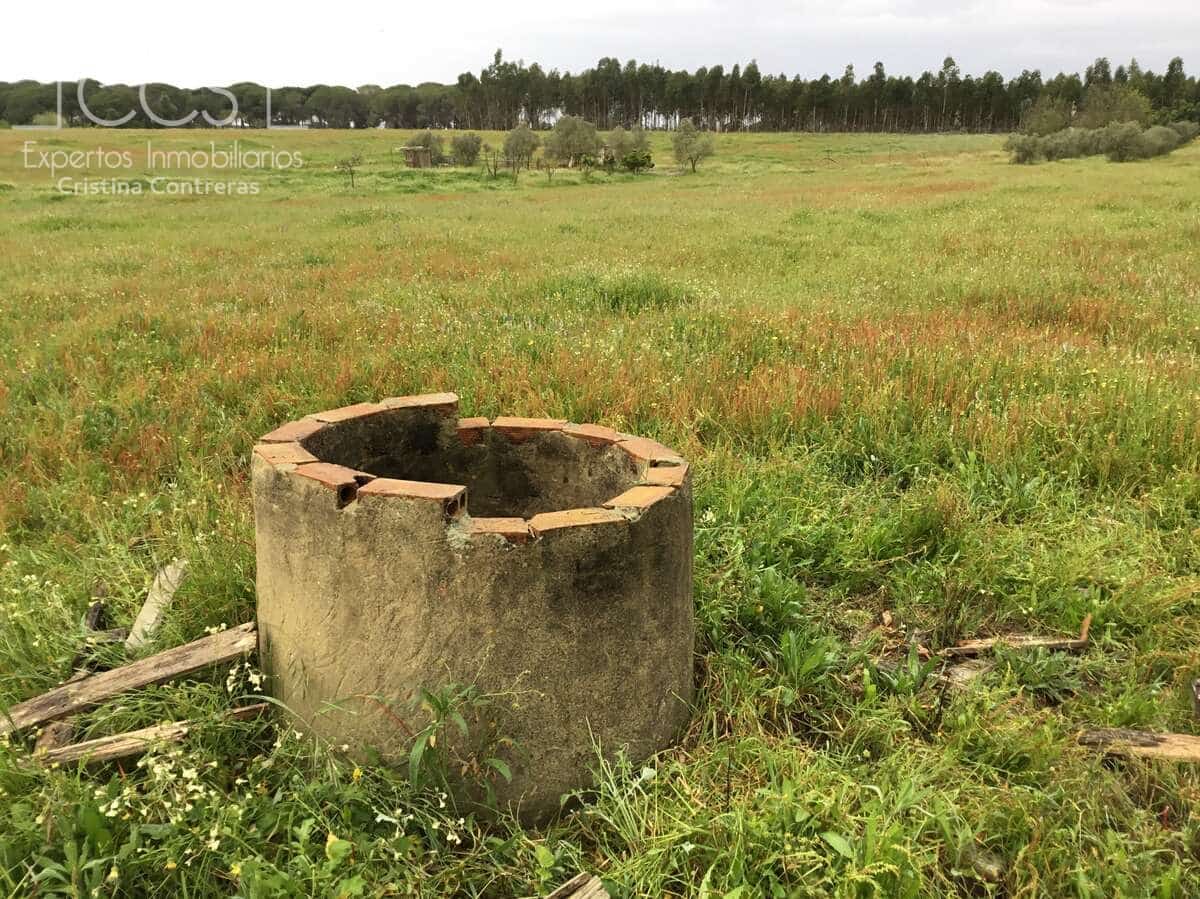 2 slaapkamer Finca/Landhuis te koop in Almonte - € 75.000 (Ref: 8661891)